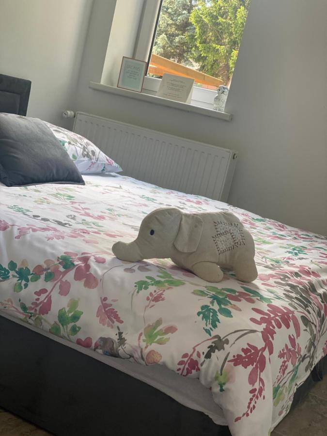 Apartamenty Bernardo 카르파츠 외부 사진